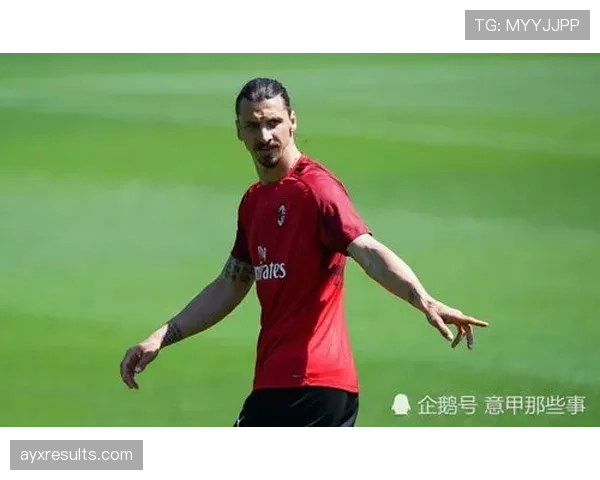 哲科与伊布锋线角色分化:体系驱动下的多点参与趋势 哲科与伊布锋线角色分化:体系驱动下的多点参与趋势