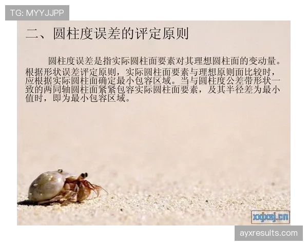 篮球圆柱体原则：何为球员的合法空间与违规侵犯？